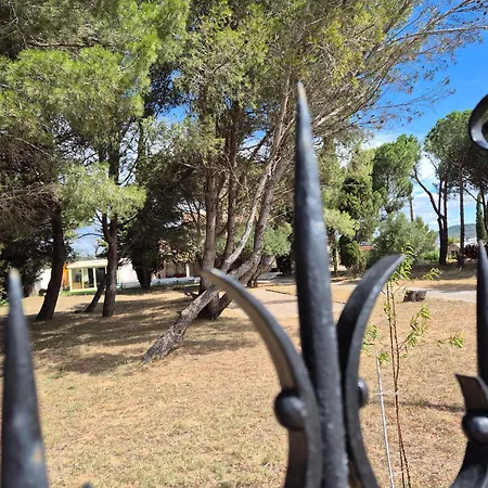 Mas De La Vigne